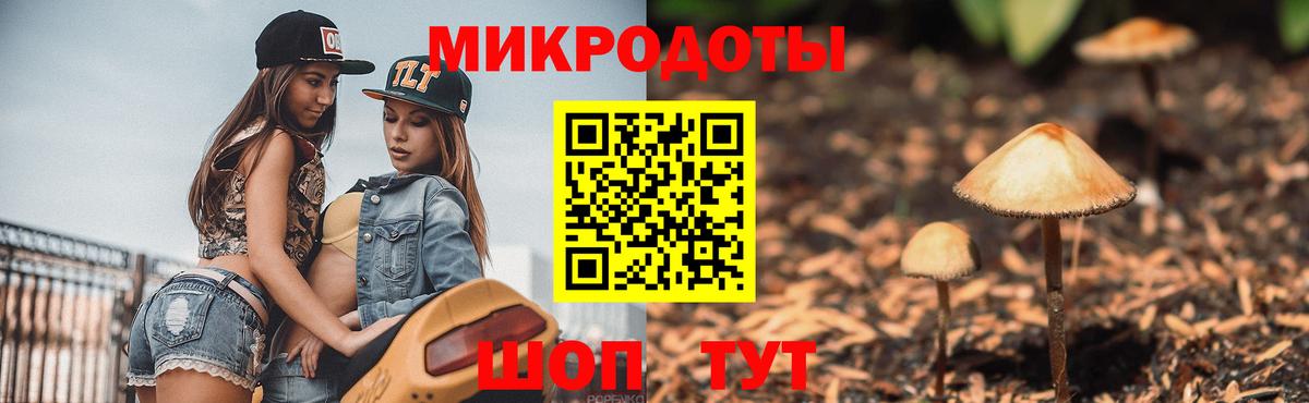 Псилоцибиновые грибы Magic Shrooms  Псилоцибиновые грибы мухоморы  Норильск  Вход с VPN 
